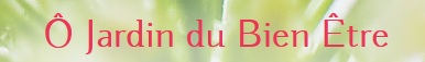 massage et luxopuncture sur toulouse avec christine